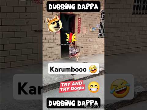Happy Pongal 🤣 #funny #dog #shorts #comedy #shortsfeed #doglover #dogshorts #dubbingdappa #dogs