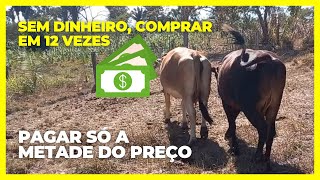 Como comprar sem dinheiro e pagar menos da metade da divida, ainda em 12 vezes