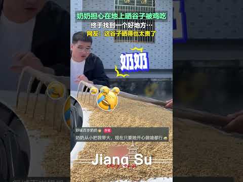 #民生 担心在地上被鸡吃,百岁奶奶在孙子的车引擎盖上晒谷子😅...#shortsvideo #社会百态 #趣味 #搞笑