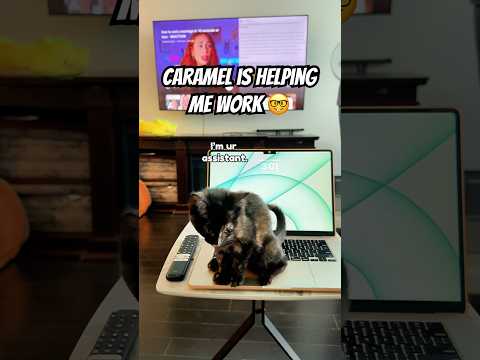 Is she a good assistant ๐ป ?