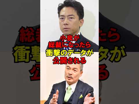 小泉が総裁になったら衝撃のデータが公開される!! #自民党 #選挙 #石破 #高市 #小泉 #ゆっくり解説