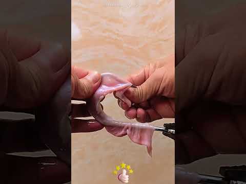 Practical methods of hanging earthworm bait on fishhooks 🎣🐛👍😎🧐