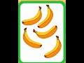 Understanding Quantities
