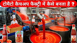 टमाटर से केचप कैसे बनता है? देखिए फैक्ट्री के अंदर | How Tomato Ketchup is Made in Factory 
