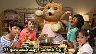 క్యూట్‌నెస్‌తో ప్రపంచాన్ని గెలిచిందా?!! | Hollywood Movie Explained In Telugu | Filmy Overload
