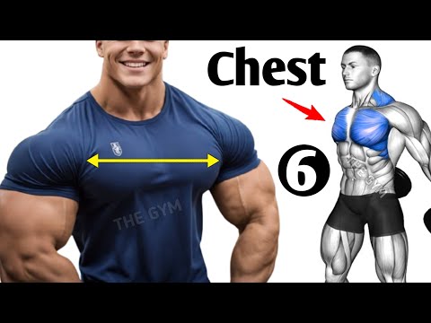 6 Best Chest Exercises at the Gym - Chest Workout