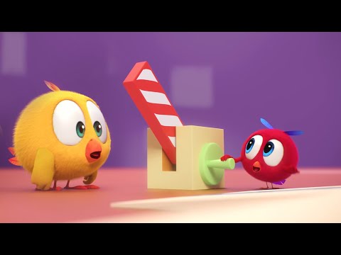 Chicky brinca com Poyo | Onde está Chicky? | Pintinha amarelinho | Desenhos animados Infantil HD