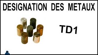DÉSIGNATION MÉTAUX TD1