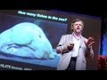 Marine Science Knowledge Assessment