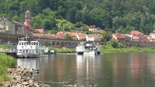 Der historische Raddampfer PIRNA fährt am 18.6.2026 durch Königstein in der Sächsischen Schweiz