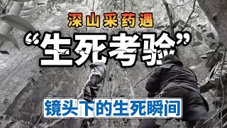 记者闯入深山与采药人突遇致命危机！镜头记录下生死瞬间！