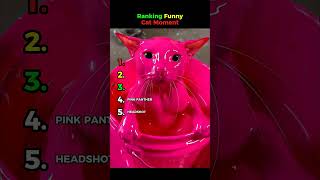 Funny Cats Moments Ranking #funny #cats