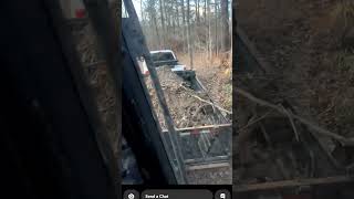 armadillo falls out excavator bucket while loading a trailer. #wakeupcall