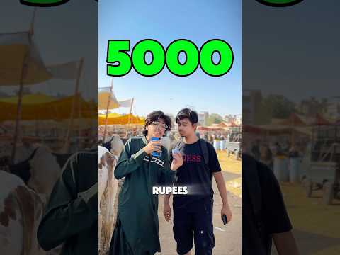 This Boy Challenge under the cow come & out win 10,000 😱 #challenge #shorts