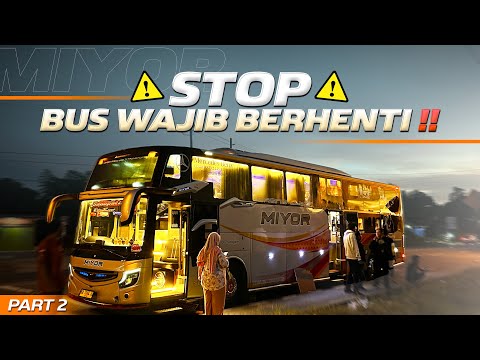 BANYAK PENUMPANG KEDINGINAN DI DALAM BUS🥶‼️Trip Padang - Jakarta with MIYOR President Class