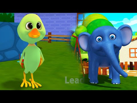 Hathi Raja + Main Tota Main Tota + Billi Mausi Billi Mausi | Lead Kids Song | 3d Kids Rhymes