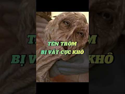 Tên trộm bị vắt cực khô #chuotkechuyen