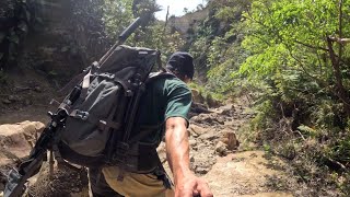 Hunting the elusive 3-legged deer