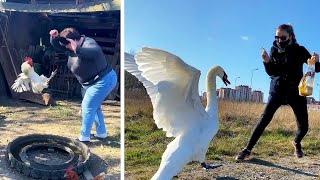 #52 Die besten Videos 2025 || ✪ Stern DuTube