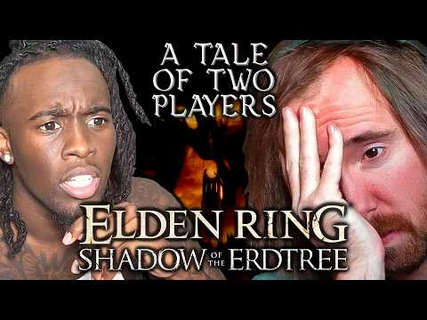 Outrage Over Shadow of Erdtree DLC: The Truth