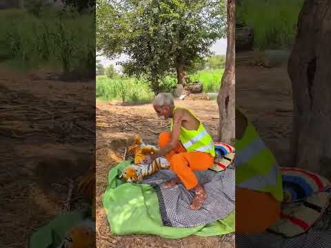 Survival Skills: SIMPLE and USEFUL #bushcraft #camping #outdoors #odvutfacts