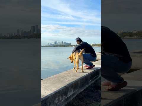 Peaceful morning routine with Cactus in Miami