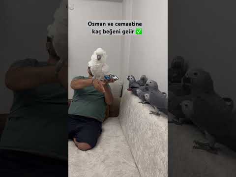 Yorumlarda buluşuyoruz cemaati yorumlayalım bakalım 😎🪽