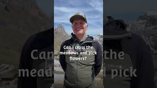 4 questions for Südtirol Alto Adige Rangers