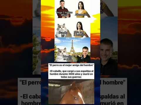 El Meme Que Captura Tu Reacción Exacta 🤔😂 ¡Demasiado Preciso!
