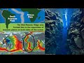 Divergent Plate Boundaries Concepts