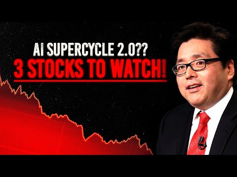 Tom Lee Calls It The Most Hated Rally - 3 AI Stocks To Watch Now - Should You Buy Them??