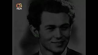 Svědomí "hrdinů" (Pravdivý dokument o činech skupiny vrahů Mašínů)