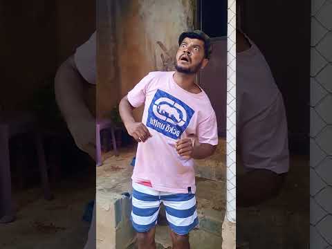 vixxe mari... sai daí gato 😱 #comedia #funnyvideos