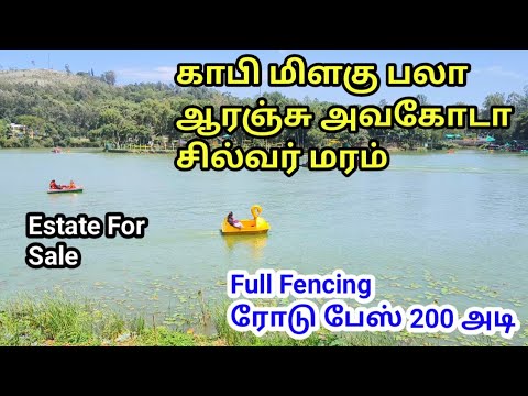 ஏற்காடு ஏரி மிக அருகில் அழகிய தோட்டம் விற்பனைக்கு Beautiful Farm Land For Sale In Yercaud