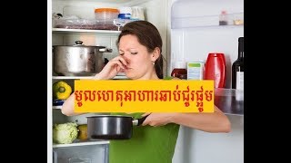 មូលហេតុដែលធ្វើអោយអាហារឆាប់ជូរផ្អូម/Why is your food easily spoilage?