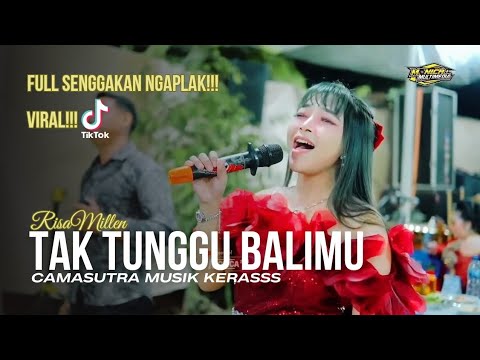 VIRAL TIKTOK,TAK TUNGGU BALIMU COVER RISA MILLEN CS CAMASUTRA MUSIK KERASSS