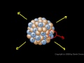 Nuclear Stability and Forces
