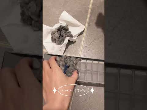 고양이,강아지랑 산다면 당장 세탁기를 열어보세요