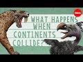 The Impact of Continental Collisions on Earth's Biodiversity