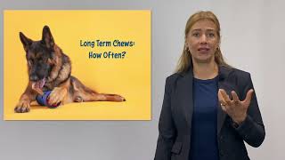 The Joy of Chewing with Johnna Devereau