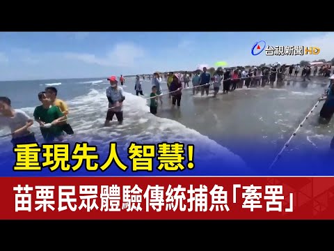重現先人智慧！ 苗栗民眾體驗傳統捕魚「牽罟」 - YouTube