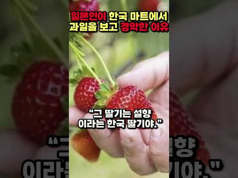 [해외반응] 일본인이 한국 마트에서 과일을 보고 경악한 이유