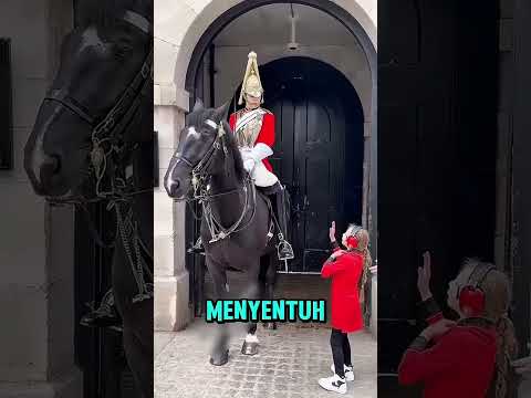 Maenyentuh kuda kerajaan