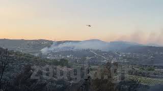 Η επόμενη μέρα στα καμένα της Κερατέας