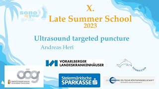 Late Summer School 2023 | Ultrasound guided puncture