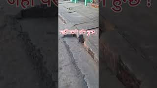 महेन्द्रनगरका सडकपेटी !