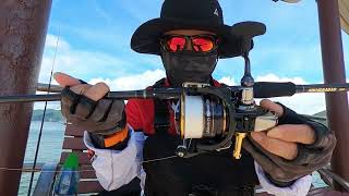 DAIWA LEGALIS CS LT 4000-CXH field test