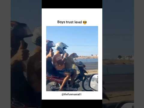Boys Trust level #shorts #dogs #love #funny #ytshorts #pets #dog #cute