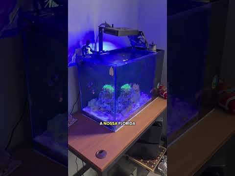 Vou ter um animal que não existe!!!