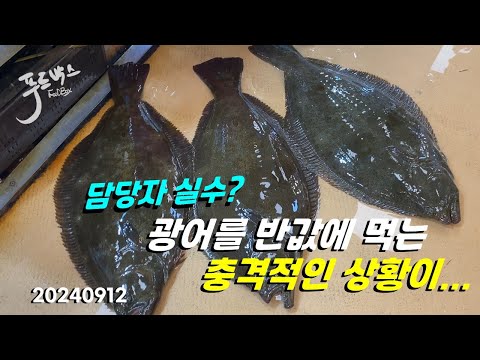 광어를 반값에 먹는 충격적인 상황.. 담당자 실수?  9월 12일  노량진 수산시장